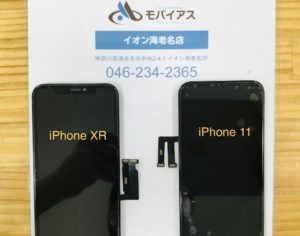 iPhone 11 iPhoneXR
