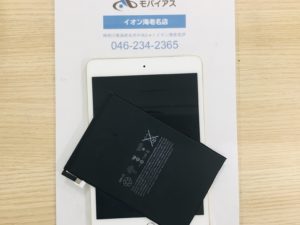 iPadmini4